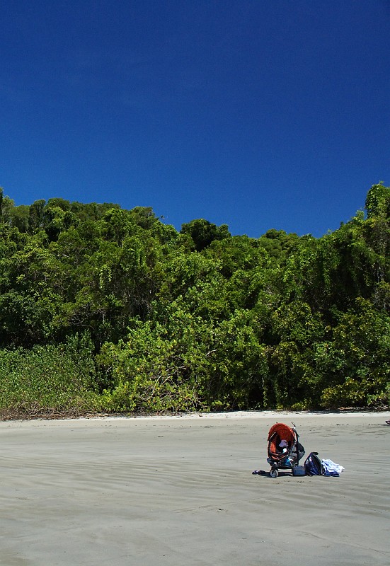 2009-11-06 22-02-06.jpg - am Strand von "Cape Tribulation"